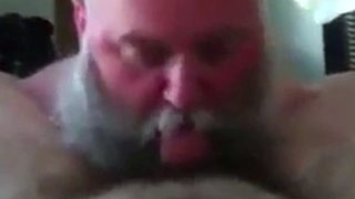 Bearded Daddy Sucks Big Cock