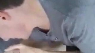 Big Cock Blowjob in the Car at a Public Park