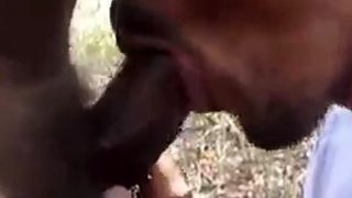 Black Guy Sucks Old Man’s Cock Outdoors