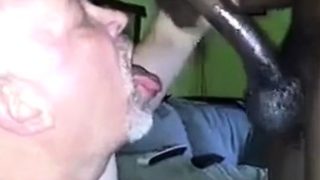 Black Bear Cub Takes on Daddy