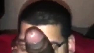 Big Black Cock Blowjob by Amateur Dick Gobbler